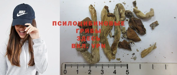 spice Алексин
