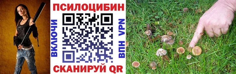 продажа наркотиков Сухой Лог Галлюциногенные грибы прущие грибы