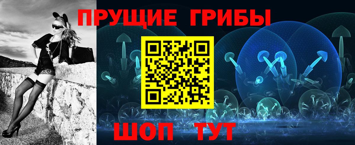 Псилоцибиновые грибы Cubensis Сухой Лог