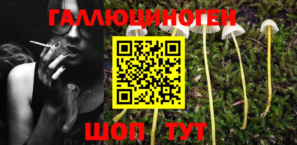 Псилоцибиновые грибы Magic Shrooms  Вход с VPN  Сухой Лог 
